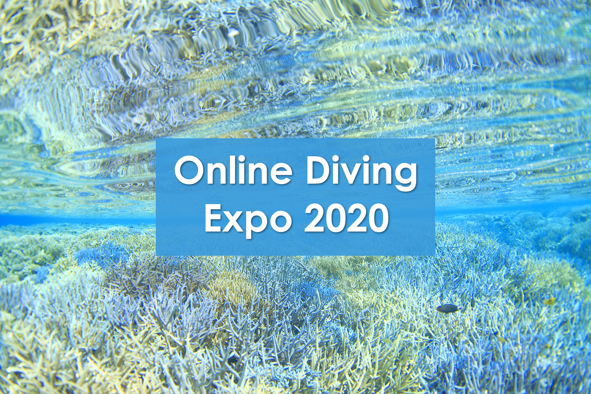 Online Diving Expo 2020