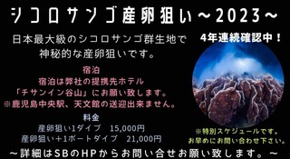 9366B757-85F8-4164-9188-BC26CD5B81D1.jpeg