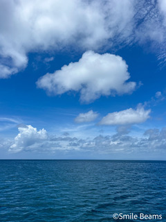 IMG_0787.jpeg