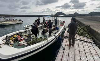 IMG_7875.jpeg