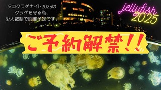 IMG_8594.jpeg